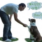 L’uomo e il cane : parallelismi e intrecci nel concetto di capobranco…………… image-25036