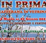 Etna in Primavera, 6^ edizione image-29680