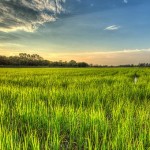 In Sicilia nasce il biodistretto “Borghi Sicani” Un modello per la tutela del territorio e lo sviluppo economico ecosostenibile image-35115