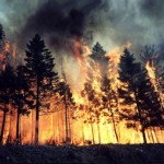 La Sicilia brucia L’Isola è la prima regione in Italia per il numero di interventi antincendio image-35100