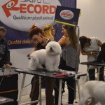 SI È CONCLUSO EXPOPET 2016, CHE SI RICONFERMA COME IL PIÙ GRANDE EVENTO DEL SETTORE DEL SUD ITALIA: DUE GIORNATE IMMERSE NEL FAVOLOSO MONDO DEL PET image-35328
